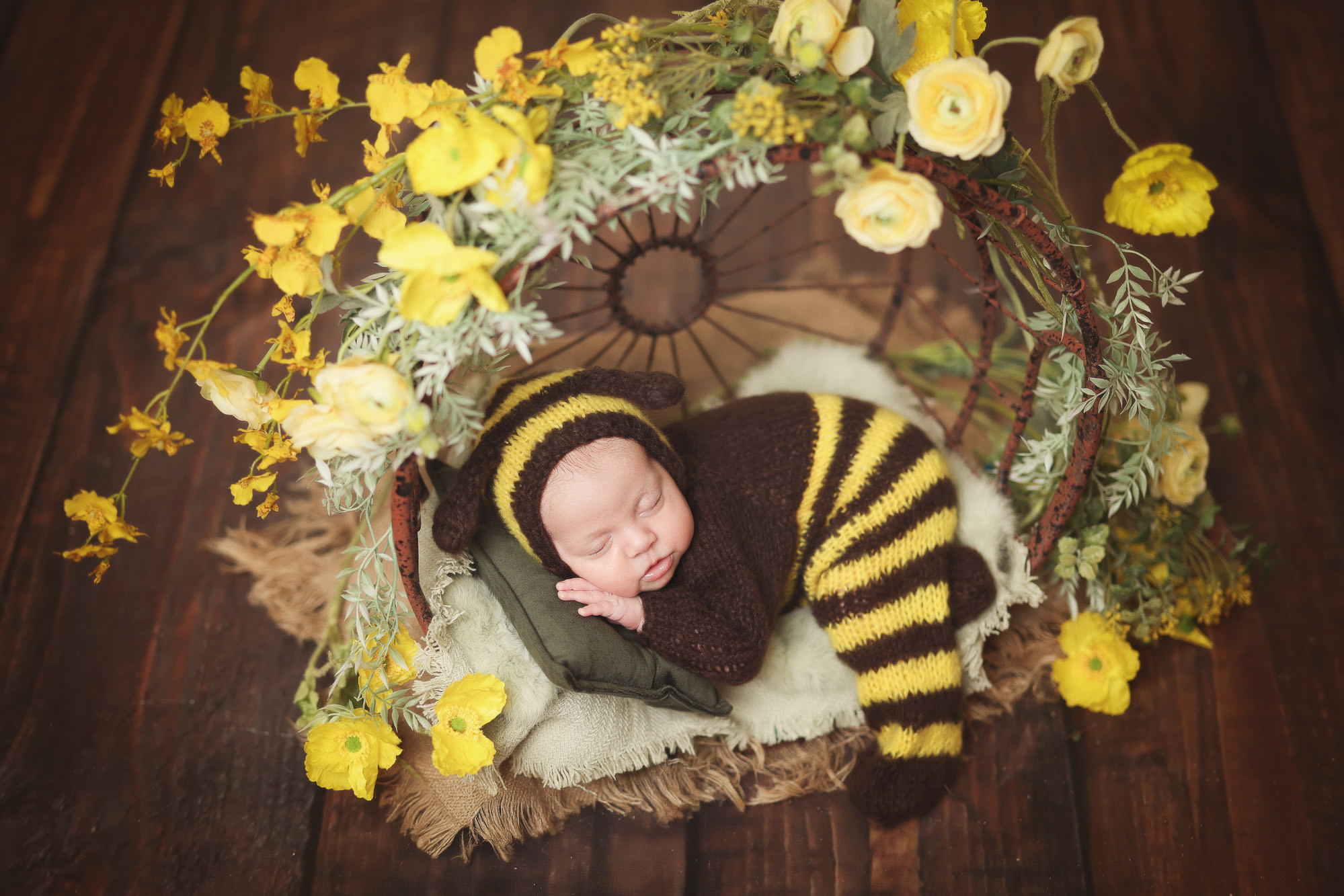 Newborn photography Columbus OH – baby in bumblebee outfit