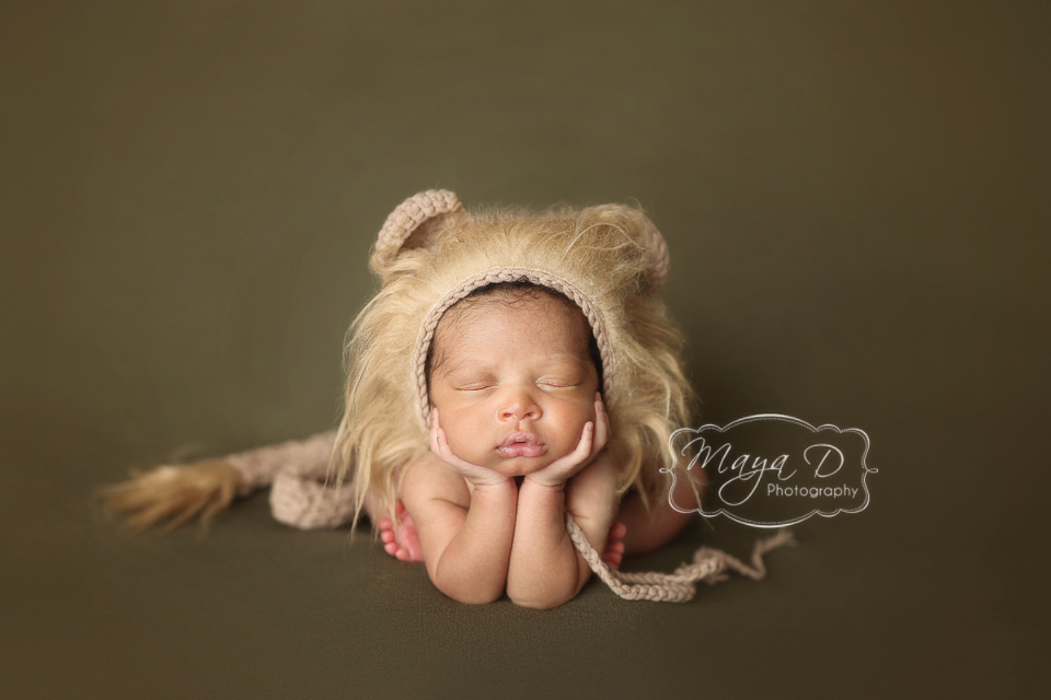 Newborn baby froggy pose in lion outfit, Columbus OH studio