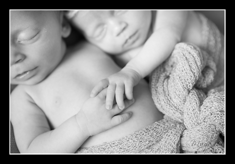 Twin Newborn Photography Columbus, OH