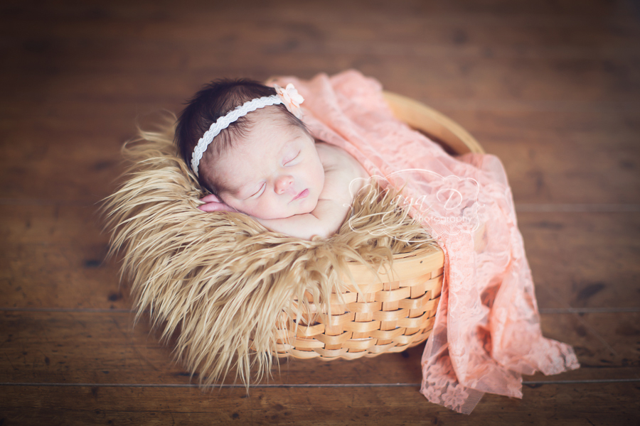 beautiful newborn girl in a basket